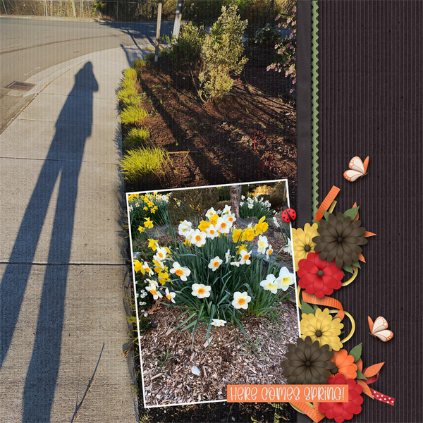 My Shadow