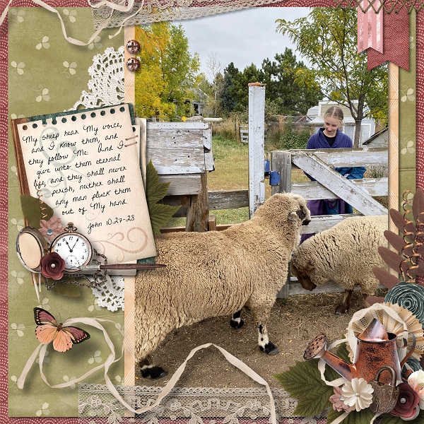 My Sheep Hear My Voice