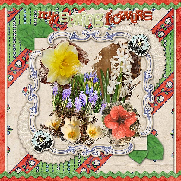My Spring Flowers 2011