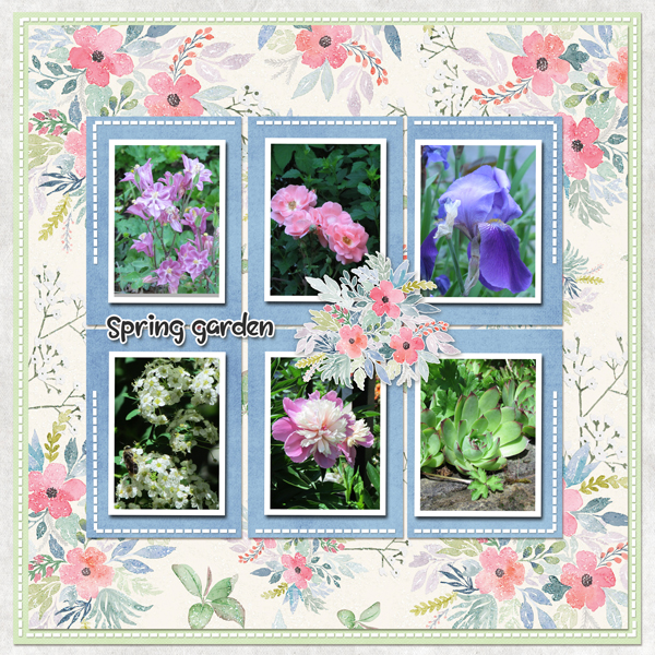 My Spring garden