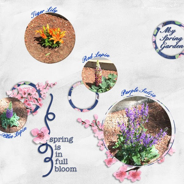 My Spring Garden