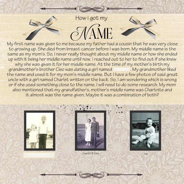 My Story Birth through age 5-Karen Schulz