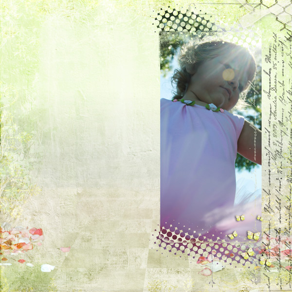 My Sunlight
