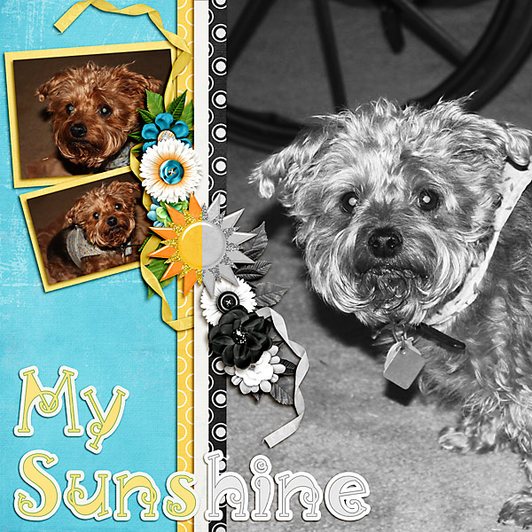 My Sunshine