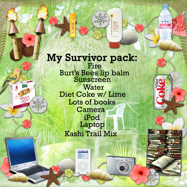 My Survivor Camp