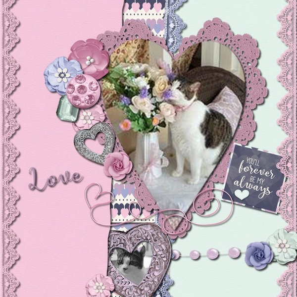 My Sweet Asia