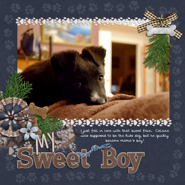 My Sweet Boy