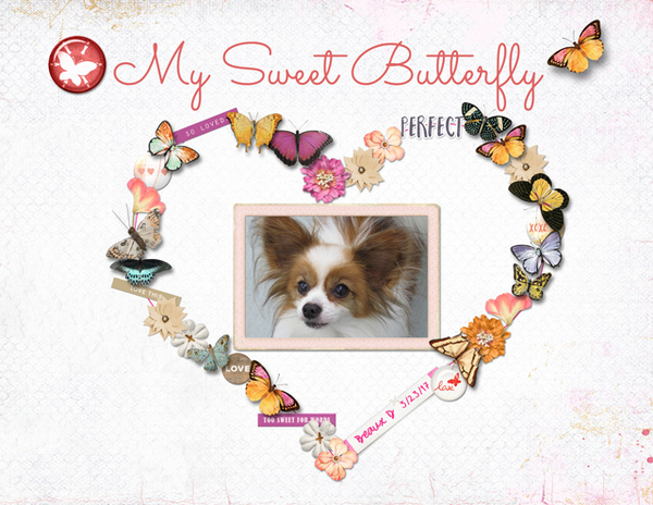 My Sweet Butterfly