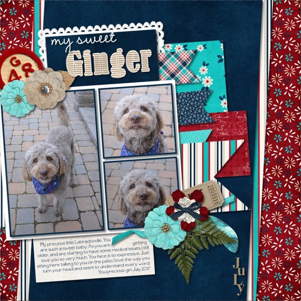 my sweet Ginger