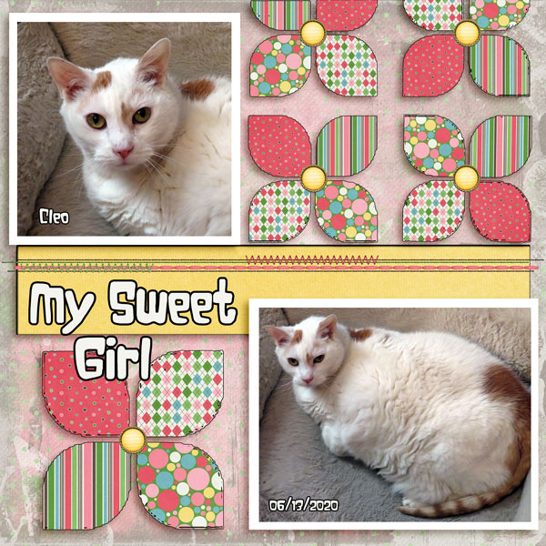 My Sweet Girl