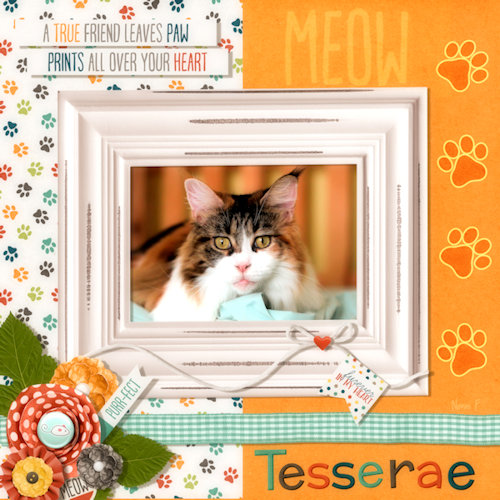 MY SWEET TESSERAE