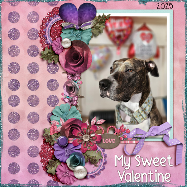 My Sweet Valentine