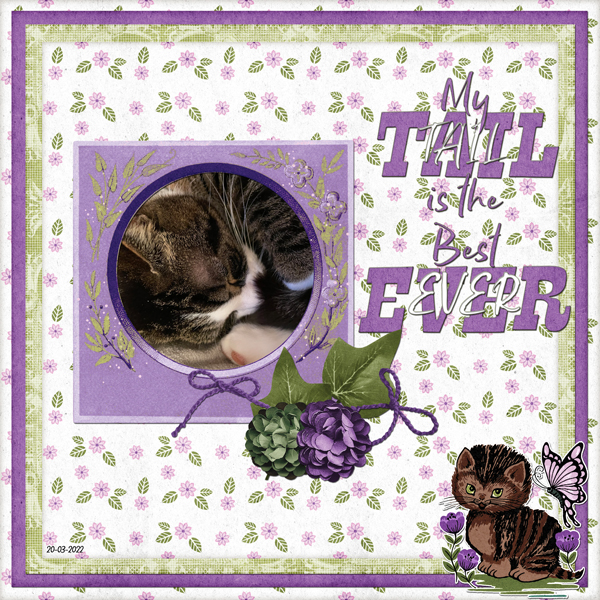 My tail is the best!