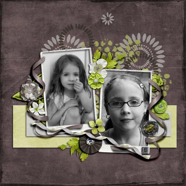 My Then and Now Rose