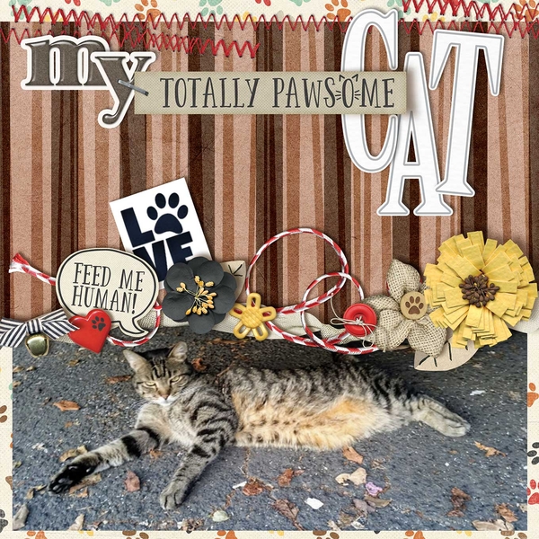 My Totally Pawsome CAT