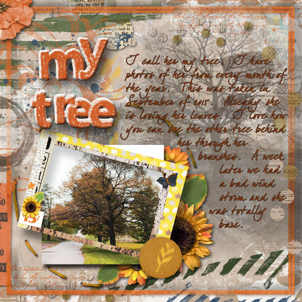 My Tree