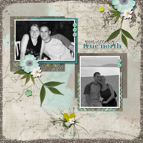 my true north