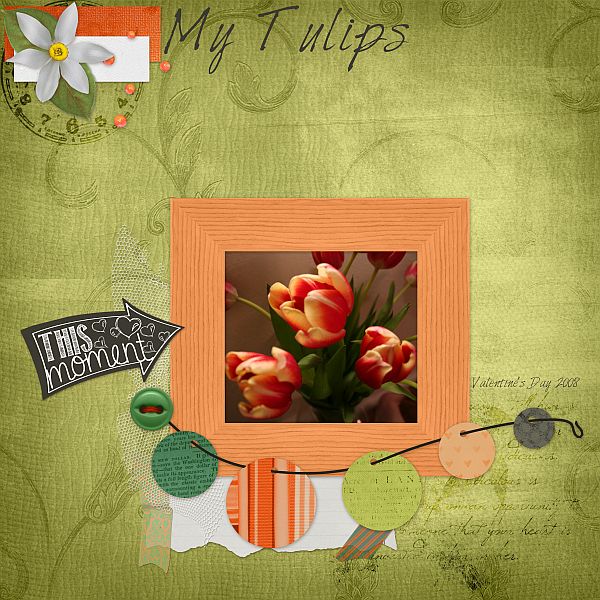 My Tulips
