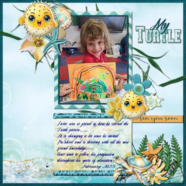 My Turtle