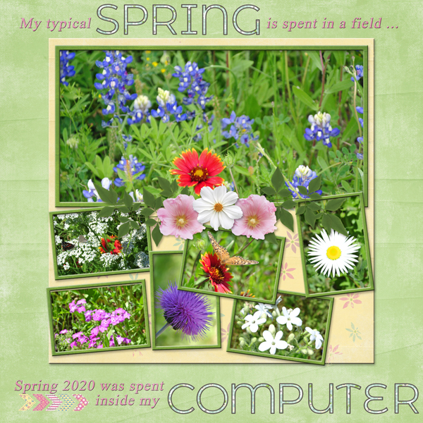 My typical SPRING ...