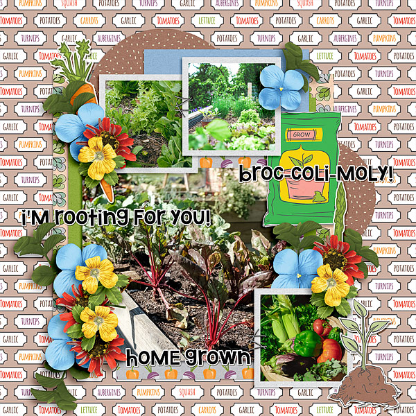 My Veggie Garden