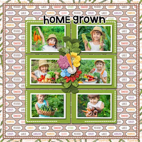 my-veggie-patch-memory-mosi