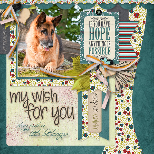 My wish, my hope