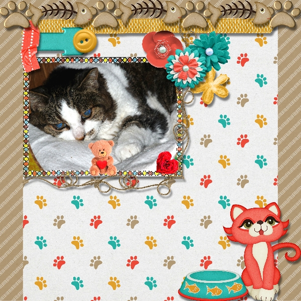 My wonderful cat, Mitzy