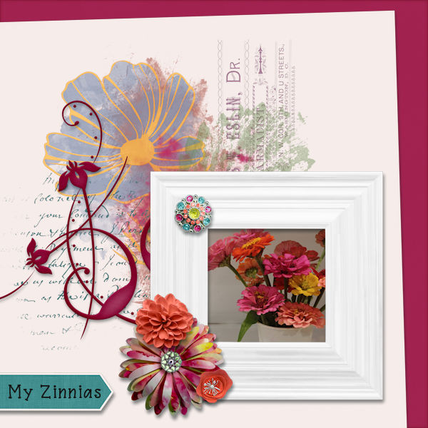 My Zinnias