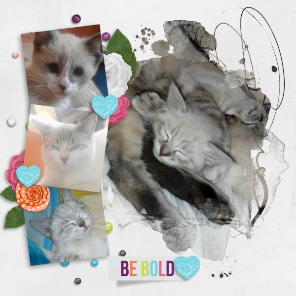 My_beautiful_furbabies