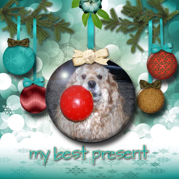My_best_present