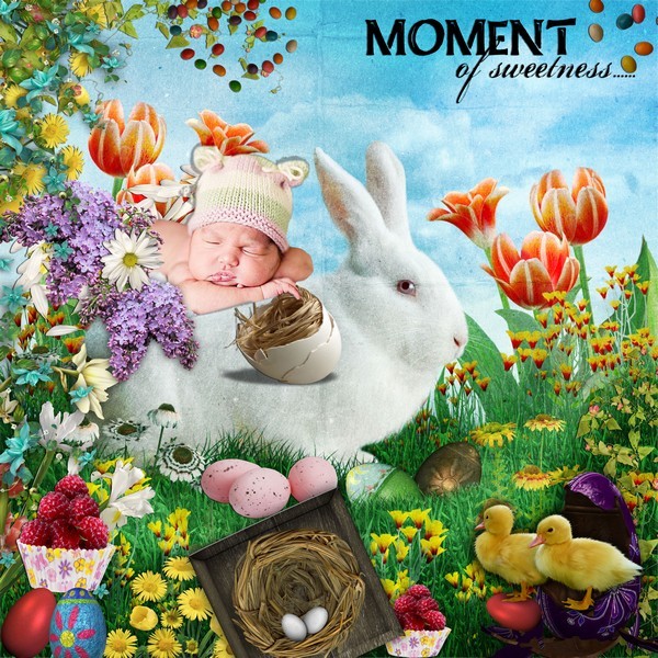 my_bunny1