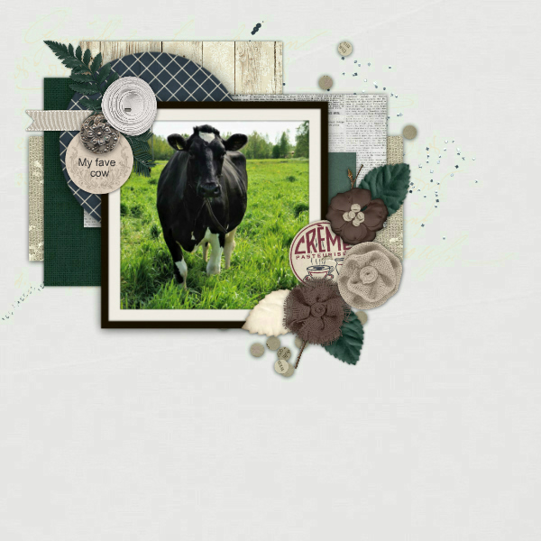 My_fave_cow