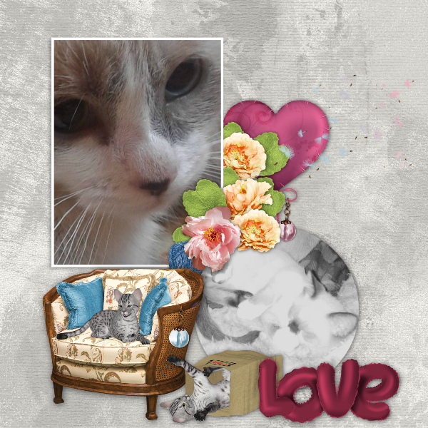 My_furbabies