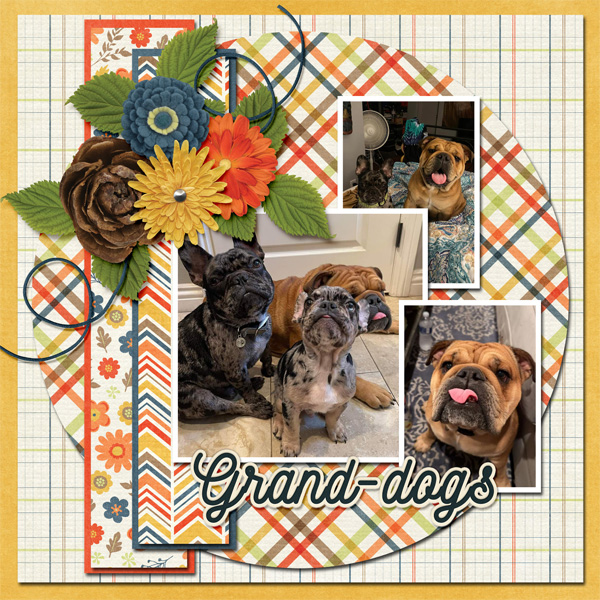 My_Granddogs