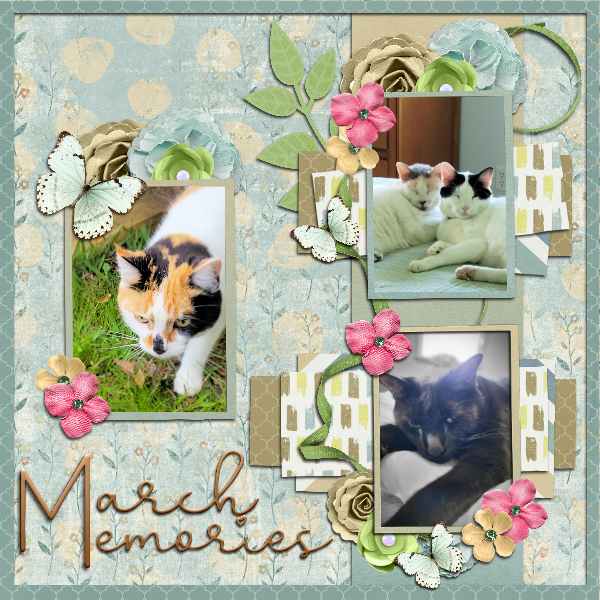 My_Memories_March1