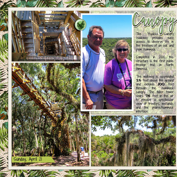 Myakka River State Park Canopy Walk, left side