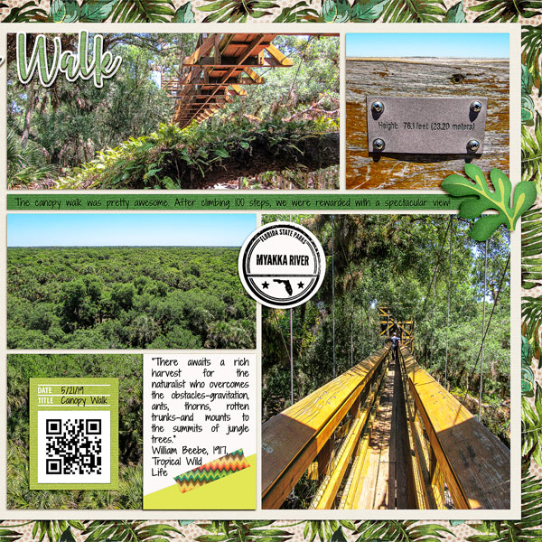 Myakka River State Park Canopy Walk, right side