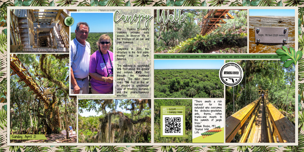 Myakka River State Park Canopy Walk