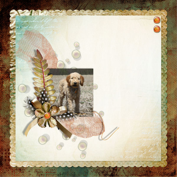 MyDoodle-600