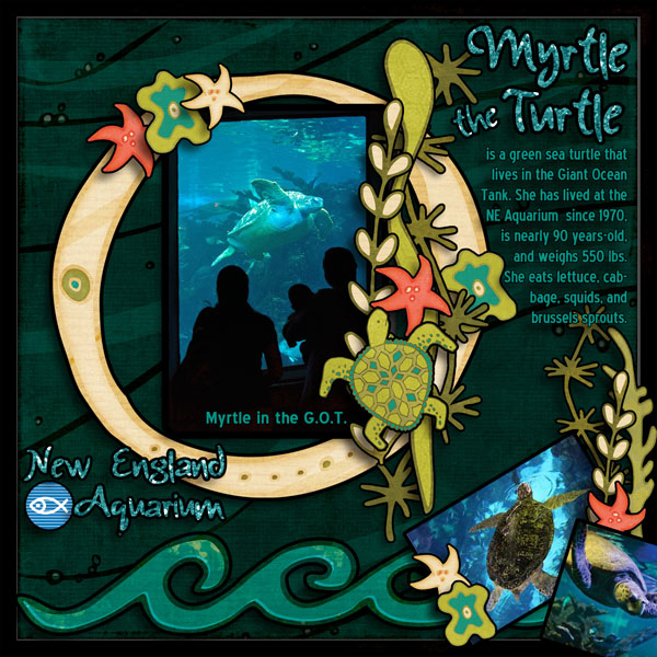 Myrtle The Turtle