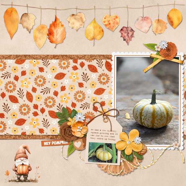 Mystery Pumpkin, Fall 2024