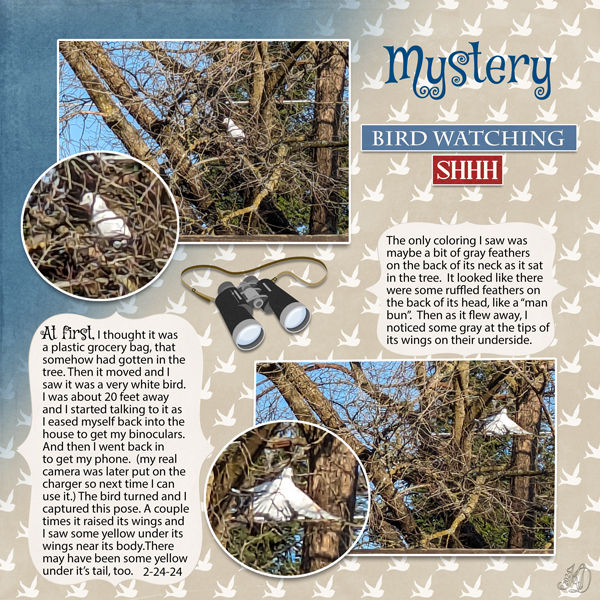 mystery white bird