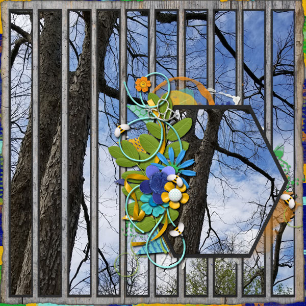 MyYard