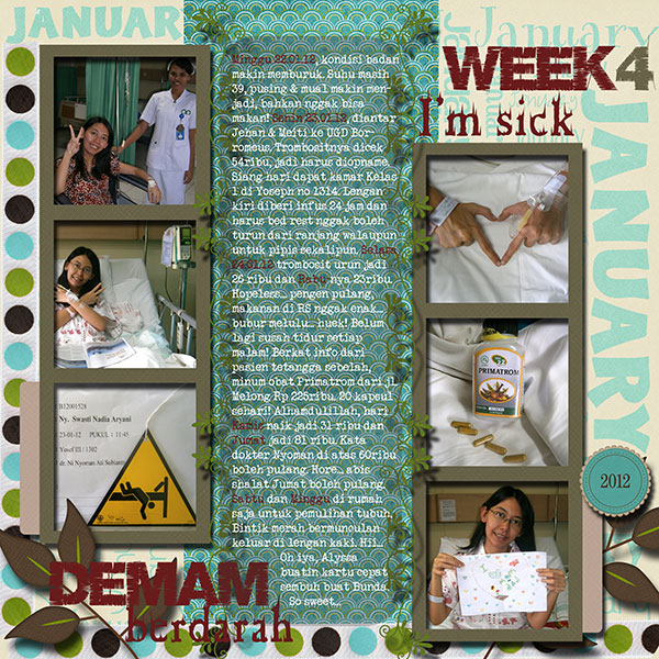 Nadia_Week 4 - January 2012