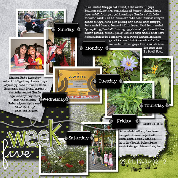 Nadia_Week 5 - February 2012