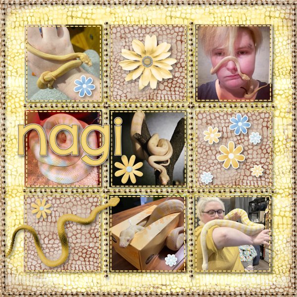 Nagi
