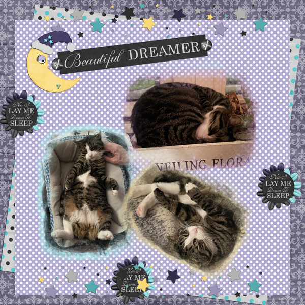Nala sweet dreams 2021