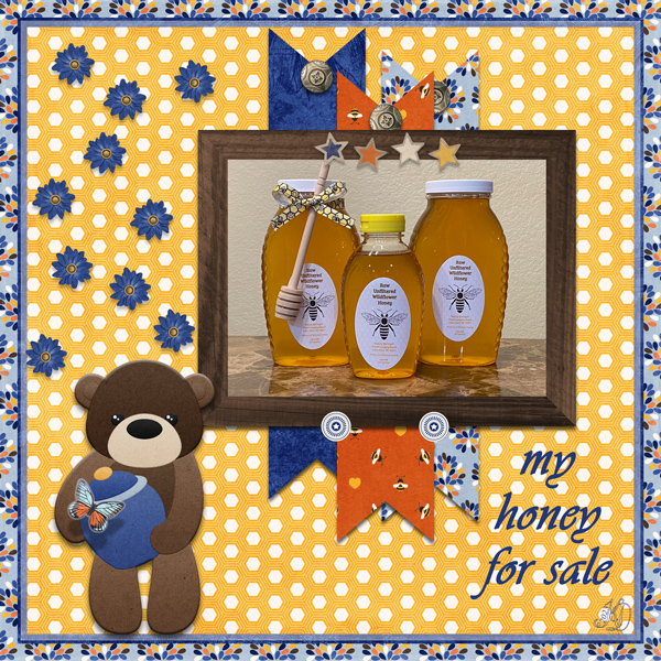 Nancy's honey for sale