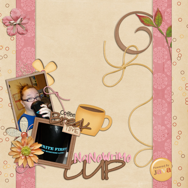 NaNoWriMo Cup